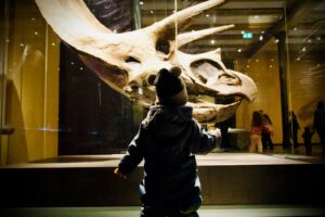 アート巡りの裏技「ぐるっとパス」の魅力。