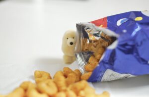 【インタビュー】ずっと一緒さ。トイ作家・カネヒラがつくる世界にひとつ – 前編
